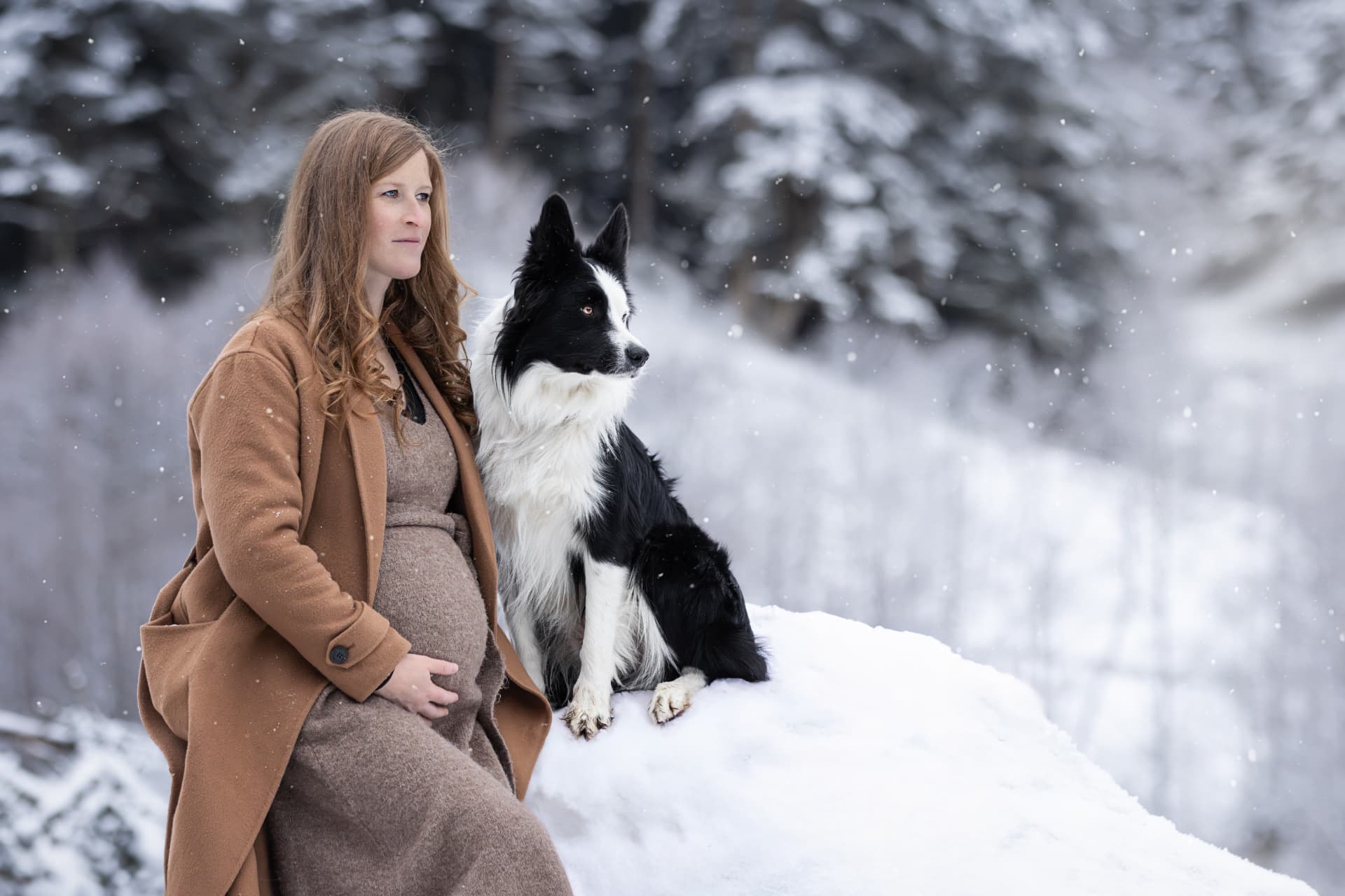 Femme enceinte assise dans la neige aux côtés de son border collie