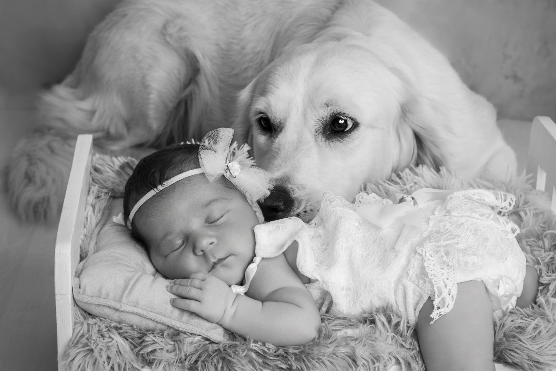 Mise en scène nouveau-né sécurisée, avec l’animal de la famille à distance respectueuse