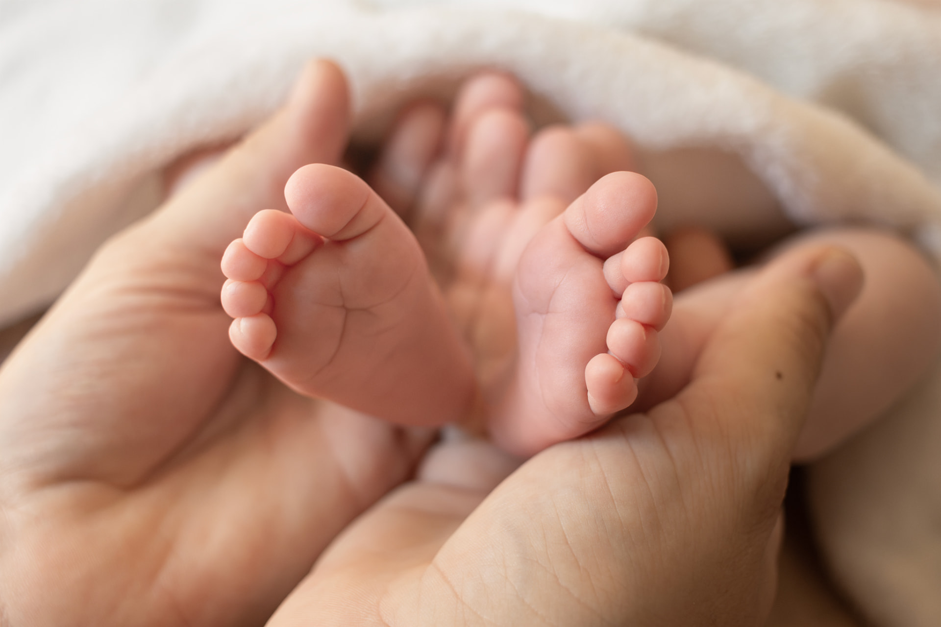 Petits pieds d’un nouveau-né tenus dans les mains de ses parents