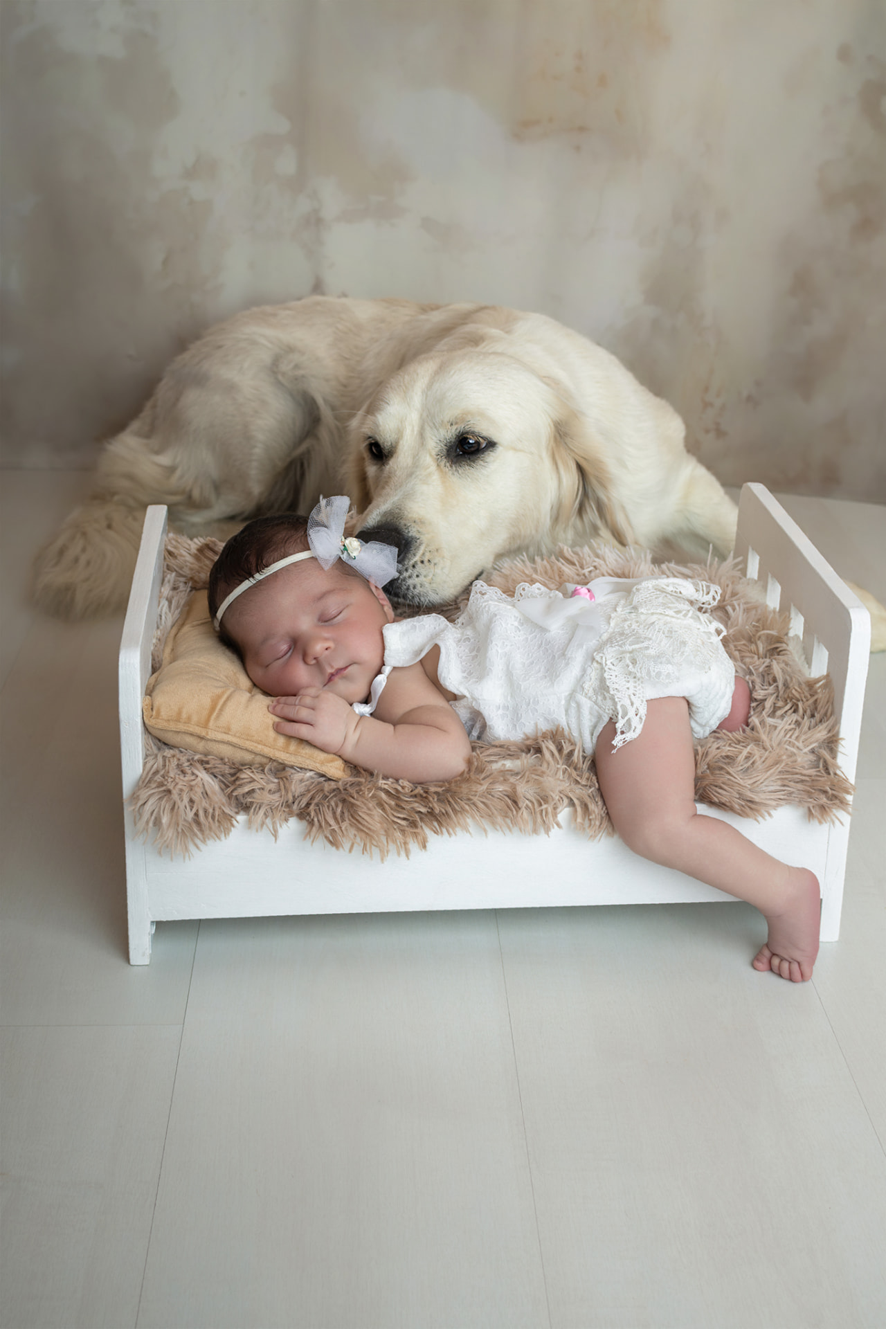 Nouveau-née endormie dans un petit lit, veillée par un golden retriever